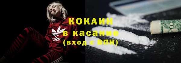соль ск Алзамай