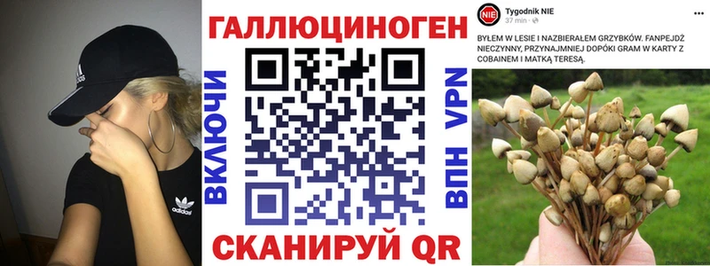 blacksprut онион  Ардон  Галлюциногенные грибы Psilocybe 