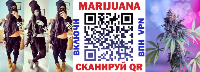где купить наркоту  Ардон  Шишки марихуана сатива 